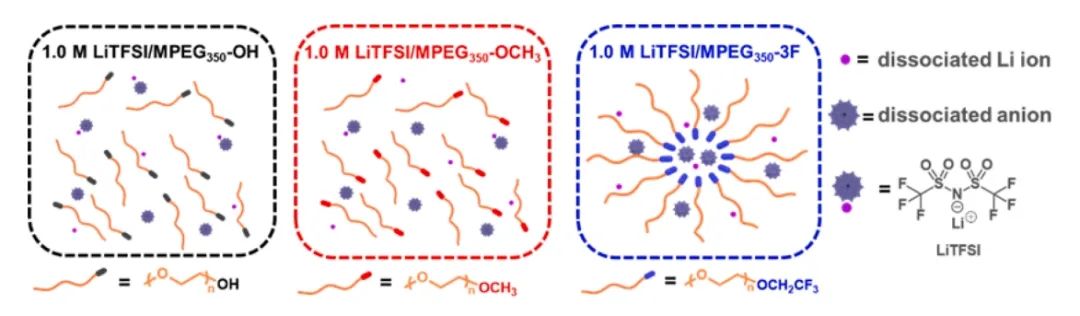 ​南开陈军/程方益/张望清EnSM：PEG 末端如何影响锂金属电池中聚合物电解质的电化学性能