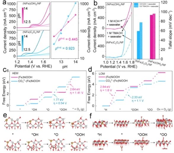 Angew.：Ni氧化物上碳氧阴离子自转化，实现长期安培级电流密度海水氧化