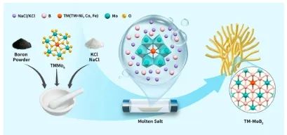 东北师范大学ACS Energy Letters：过渡金属单原子修饰MoB2，用于高效稳定电催化HER