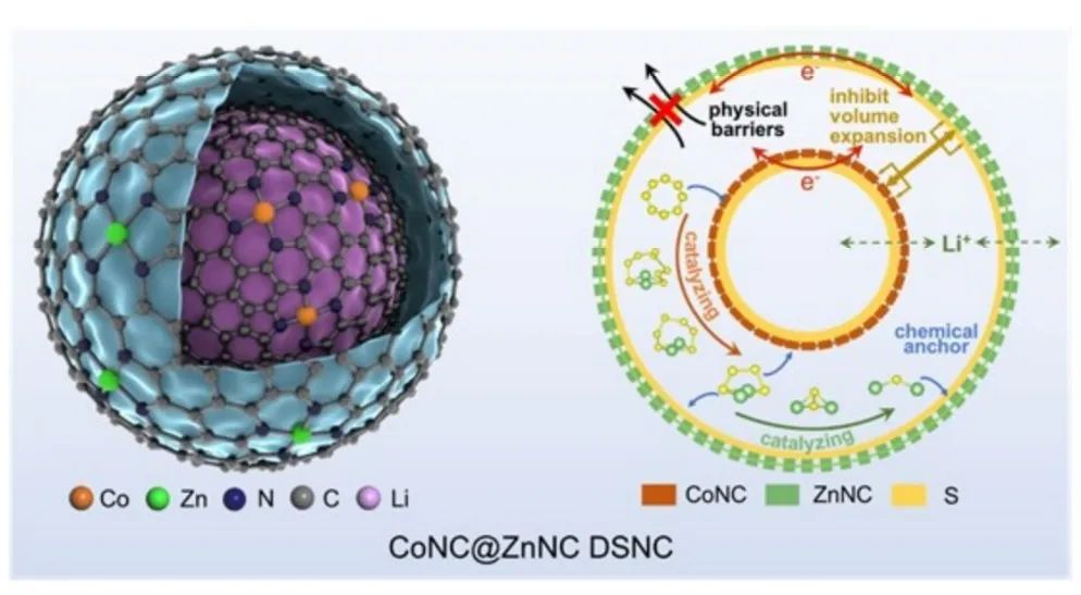​北化工刘文AM：双壳纳米笼内的串联催化实现高性能锂硫电池