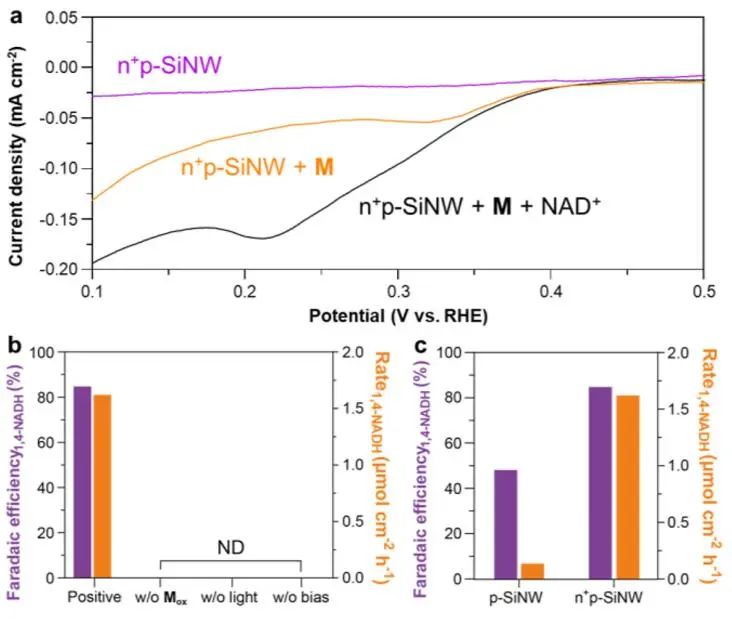 杨培东院士团队，最新JACS！