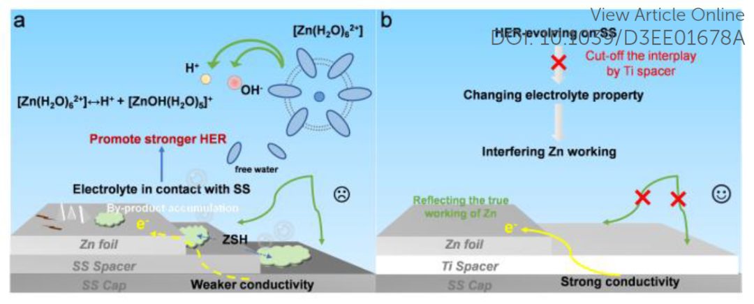 数篇Science、Nature中招，纽扣电池测试有陷阱！最新EES喊你来避雷！