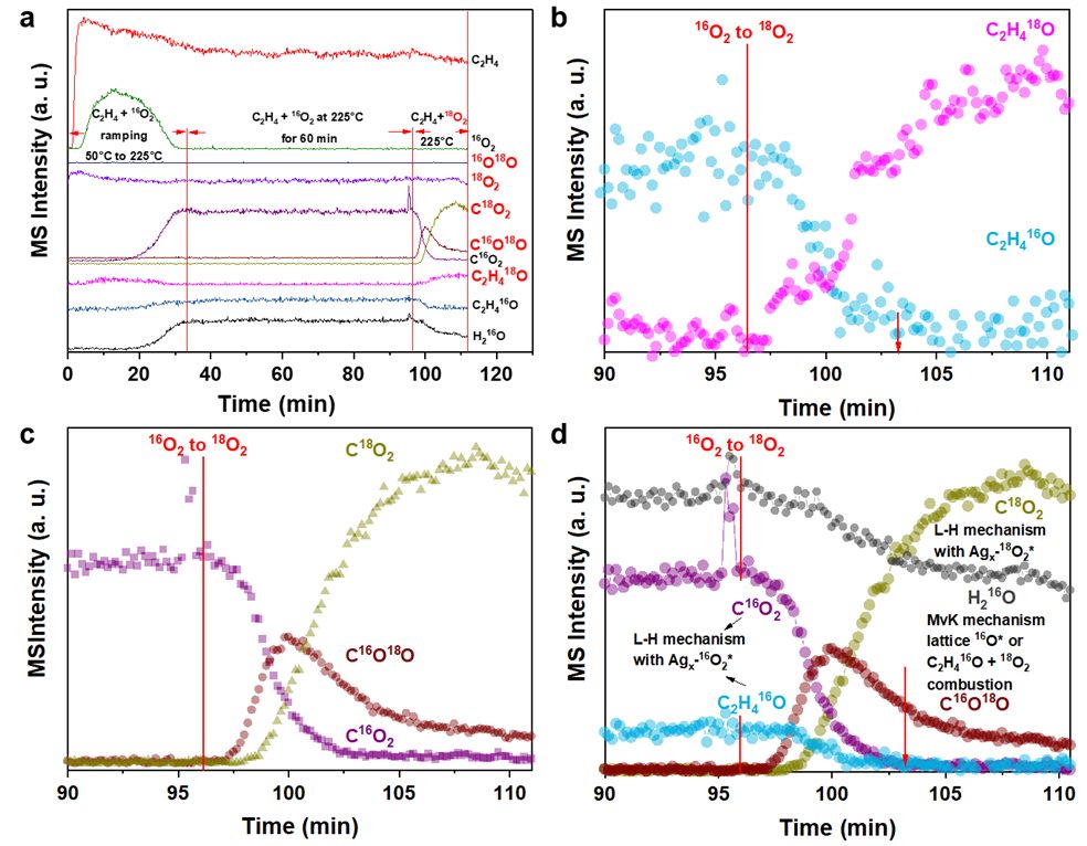 ACS Catalysis：原位拉曼+SSITKA，银催化乙烯环氧化的全新机理解析