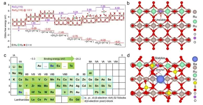 卢旭Nature子刊： 硫酸盐保护晶格氧，助力RuO2在PEMWE中持久析氧