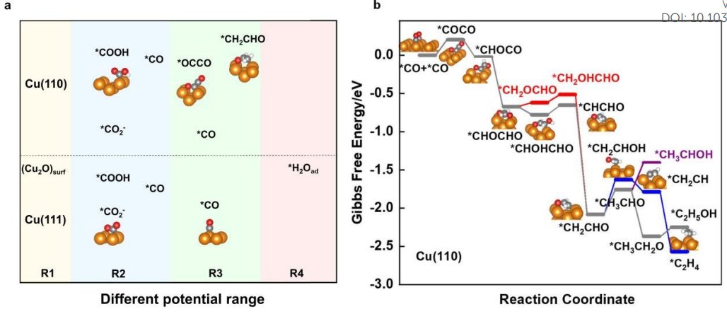 【计算+实验】顶刊案例解读：JACS、EES、Angew、Nature子刊、ACS Catalysis、ACS Nano等成果！