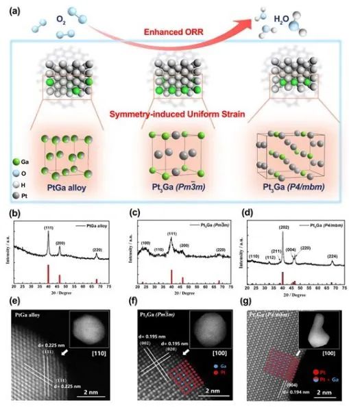 催化日报||顶刊集锦：Nature子刊/JACS/Angew/AM/ACS Catal./ACS Energy Lett.等成果