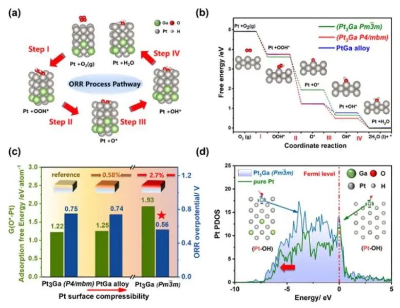 催化日报||顶刊集锦：Nature子刊/JACS/Angew/AM/ACS Catal./ACS Energy Lett.等成果