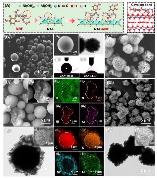 催化日报||顶刊集锦：Nature子刊/JACS/Angew/AM/ACS Catal./ACS Energy Lett.等成果