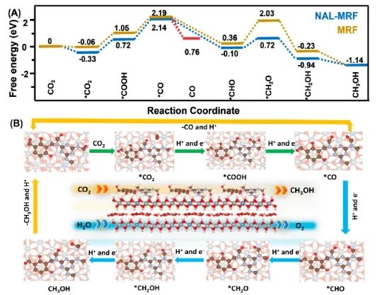 催化日报||顶刊集锦：Nature子刊/JACS/Angew/AM/ACS Catal./ACS Energy Lett.等成果