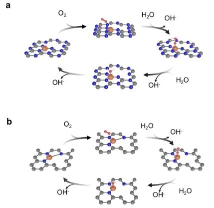 催化日报||顶刊集锦：Nature子刊/JACS/ACS Catal./Adv. Sci.等成果