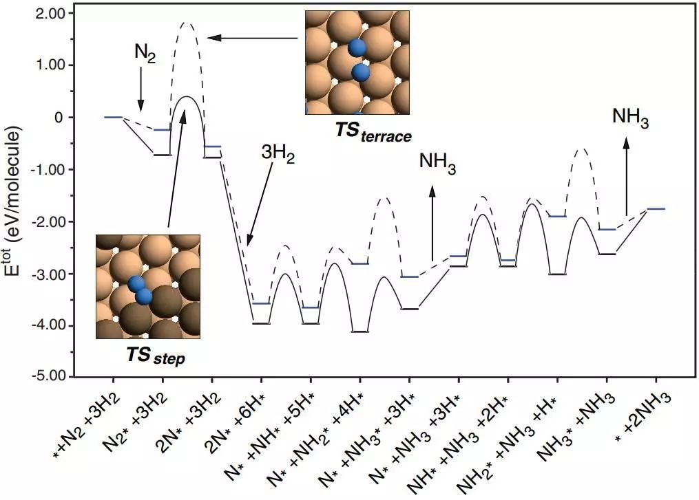 理论计算中的微观动力学，来看这些催化反应路径有多美！