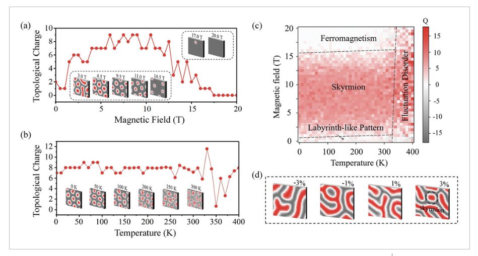 【纯计算】AFM：二维晶格中的d0磁性skyrmions