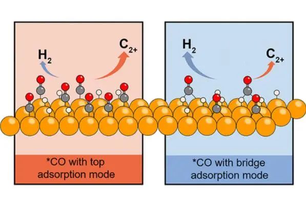 中科大耿志刚Nano Lett.：了解*CO覆盖率对CO2电还原中C-C耦合的影响