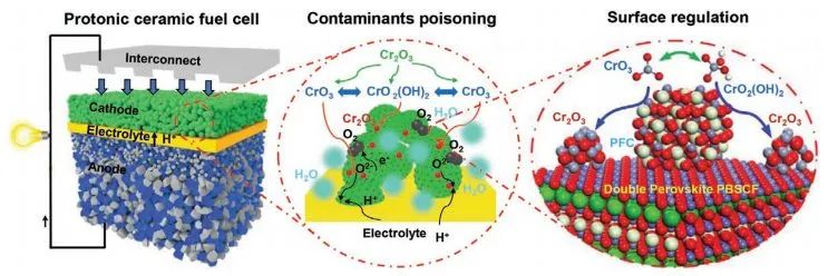AEM: Pr0.9Co0.3Fe0.7O3起大作用，增强双钙钛矿电极的ORR性和污染物中毒耐受性