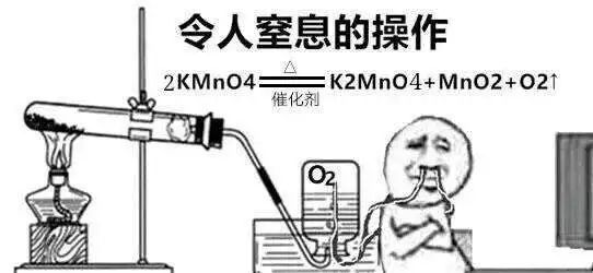 遇到水货研究生是什么体验？导师：这届学生我想退货…