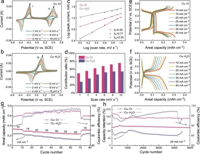 ​支春义/刘洪鑫/李洪飞，最新Nature子刊！配位策略提升放电电压！