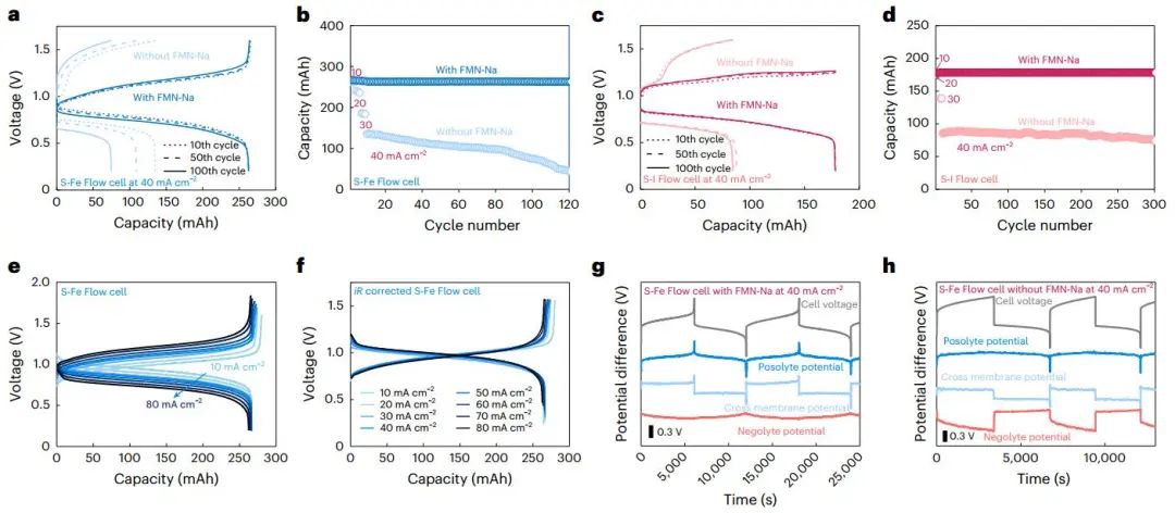 卢怡君团队，最新Nature Energy！