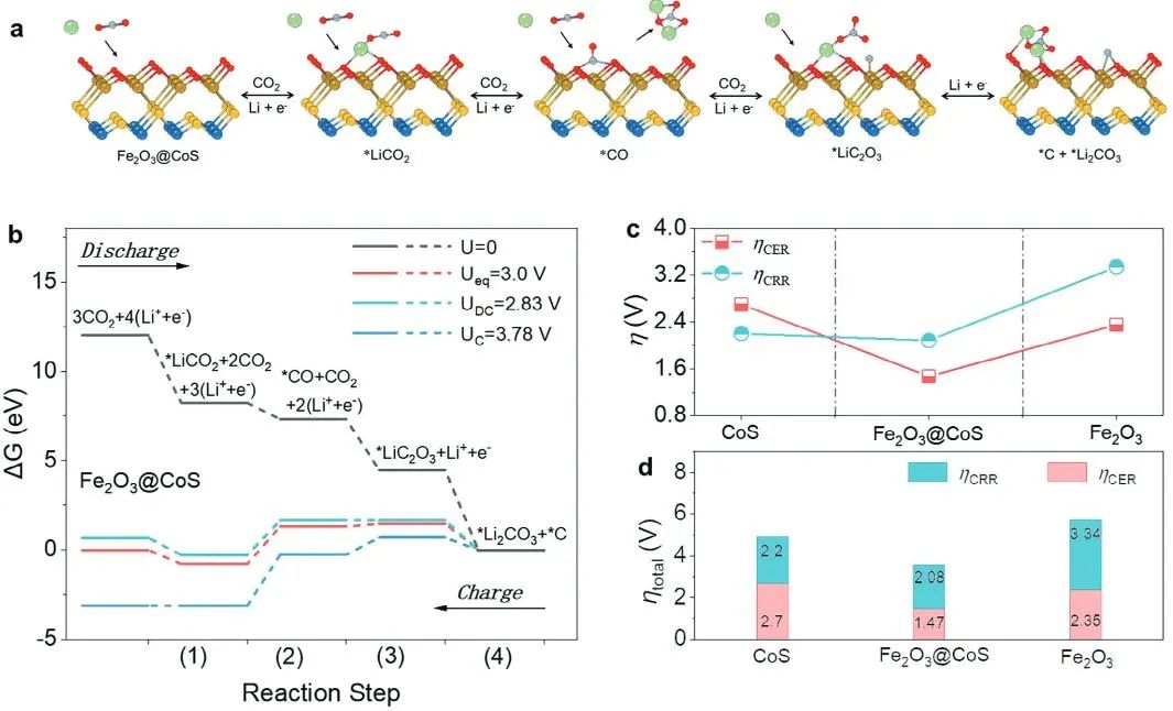 计算日报||顶刊集锦：Nature子刊/JACS/AFM/Angew/ACS Catal.等成果