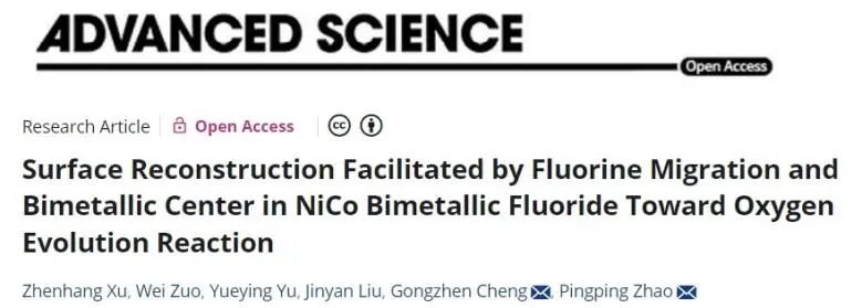 ​武汉大学Advanced Science：F迁移耦合双金属中心，促进材料表面重构以提升OER活性