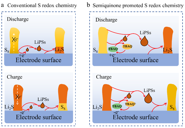 【DFT+实验】河南大学赵勇团队Angew：半醌双功能液相催化剂构建S↔Li2S固/液/固反应路径提升锂硫电池性能新进展