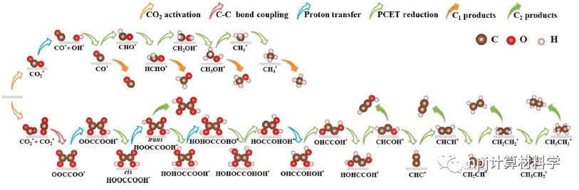 光照下，1个催化位点能活化几个CO2分子?