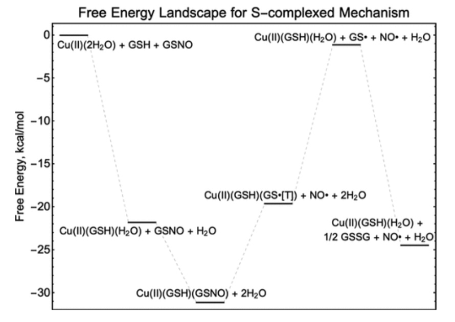 【纯计算】JACS: 铜金属-有机骨架催化S-亚硝基谷胱甘肽生成NO机制的计算研究