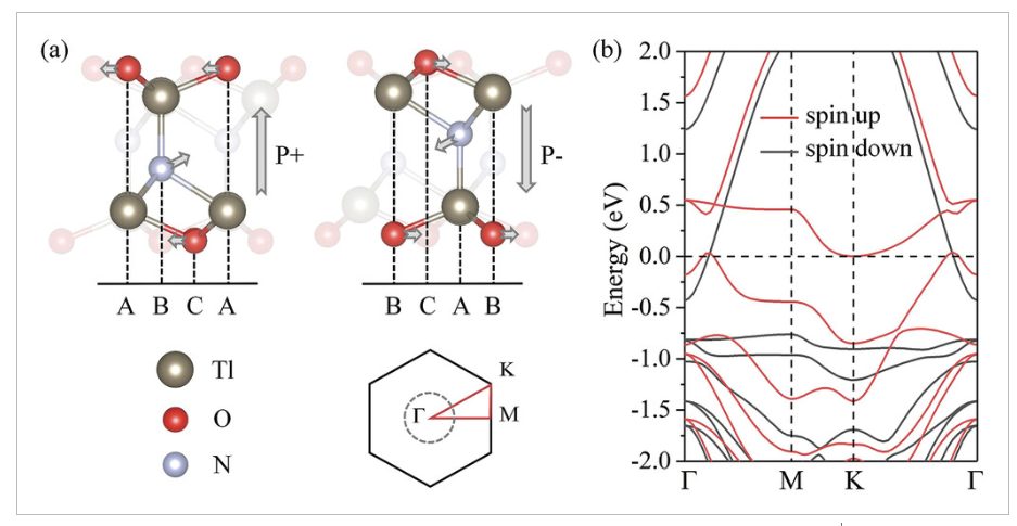 【纯计算】AFM：二维晶格中的d0磁性skyrmions