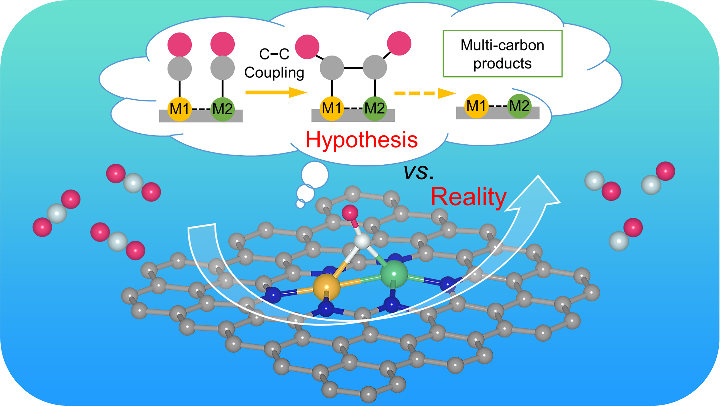 【纯计算】华电杨维结/日本东北大李昊等：当前火热的双原子催化剂为何仍难以实现碳–碳偶联？