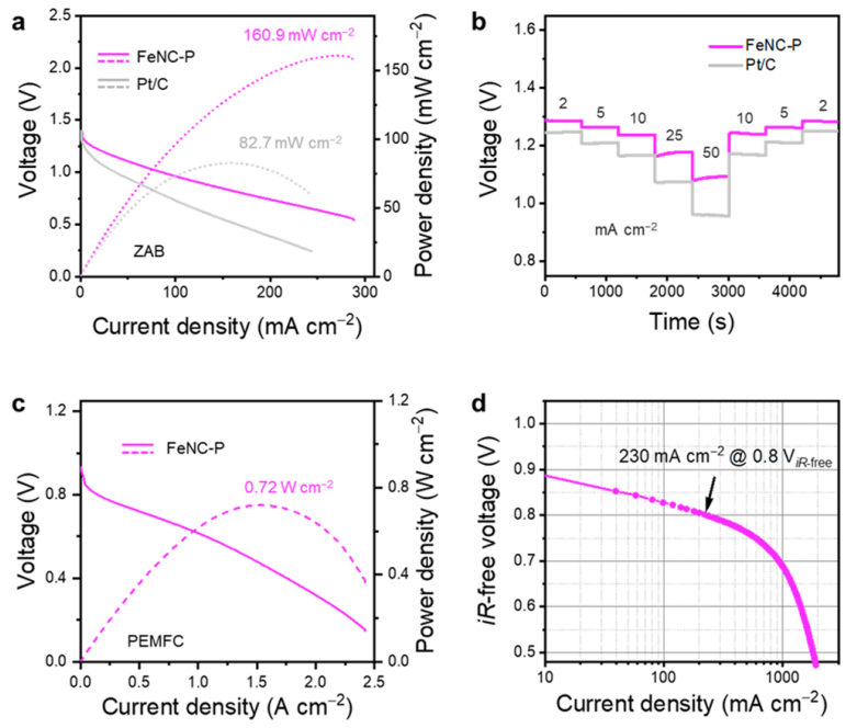 张强教授，最新JACS!