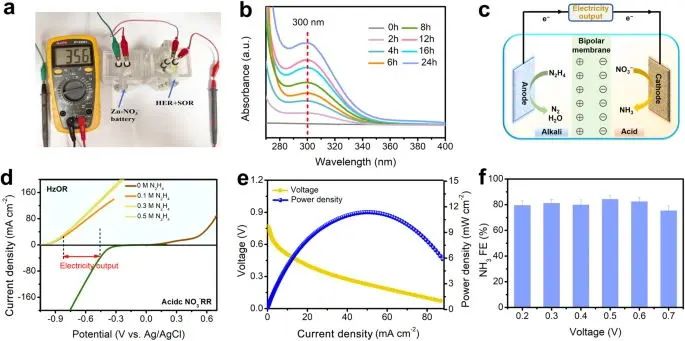 支春义教授，最新Nature子刊！