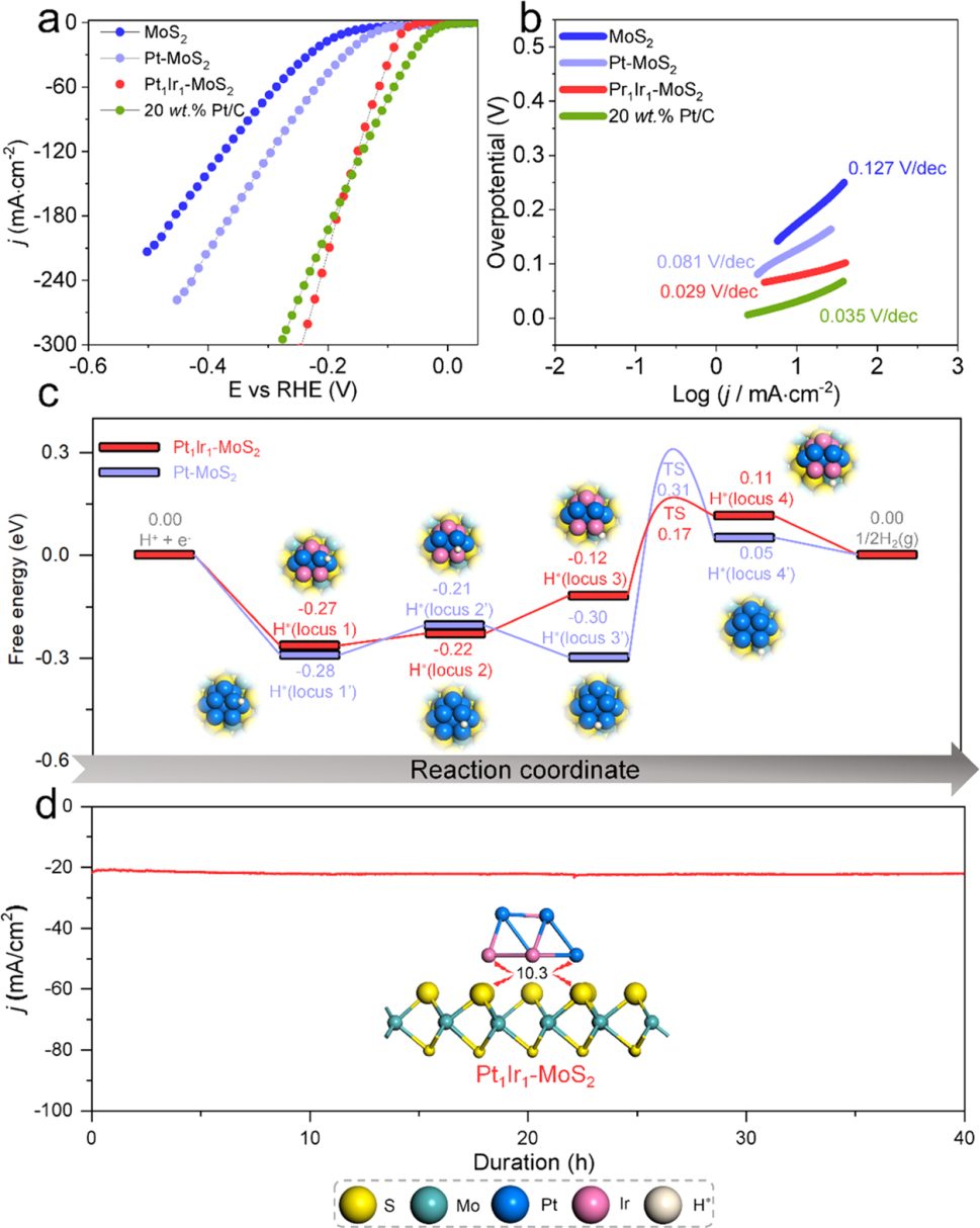 【MS计算解读】ACS Catalysis：氢溢出基氢演化二元电催化剂的发现：理论与实验