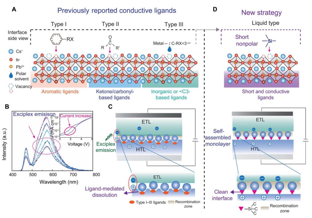 超燃！他，Nature Catalysis、Science Advances再次背靠背！