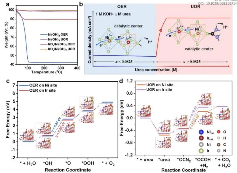 催化日报||顶刊集锦：Nature子刊/JACS/Angew./EES/ACS Nano等成果