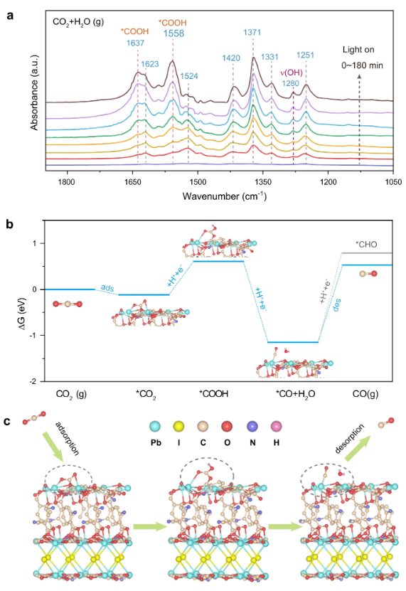 【计算+实验】顶刊案例解读：JACS、EES、Angew、Nature子刊、ACS Catalysis、ACS Nano等成果！