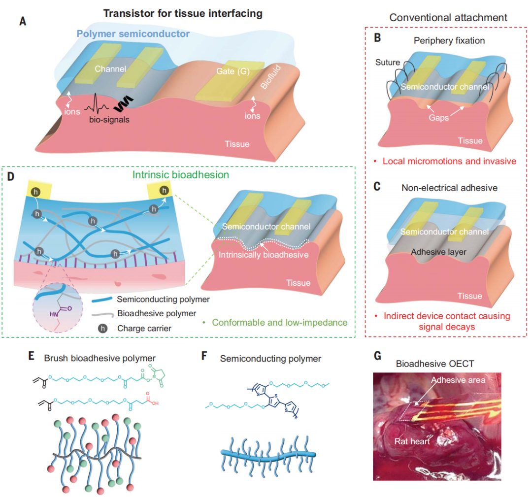 他，时隔三月，发完Nature Materials再发Science！