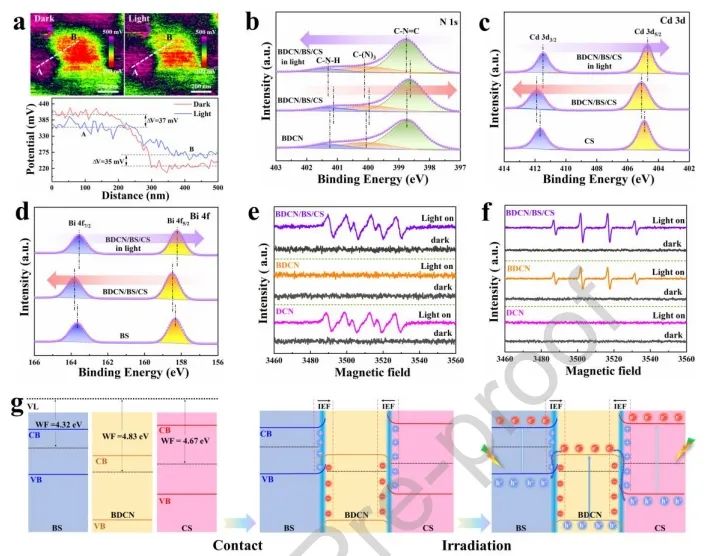 云南大学Nano Energy：双S型异质结实现多通道电荷转移，增强光热-光催化性能