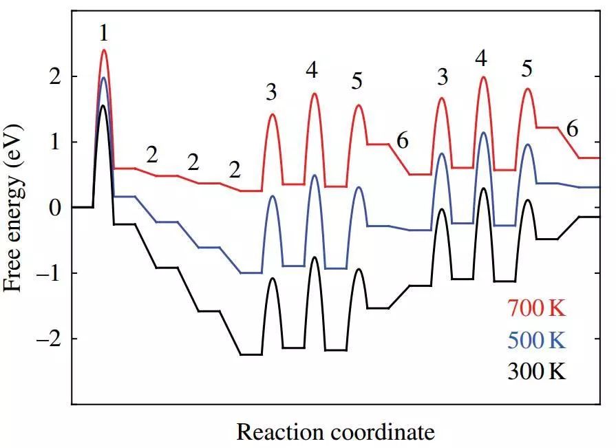 理论计算中的微观动力学，来看这些催化反应路径有多美！
