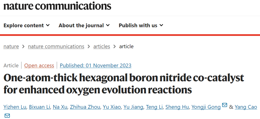 Nature子刊：原子级hBN共催化剂助力OER！