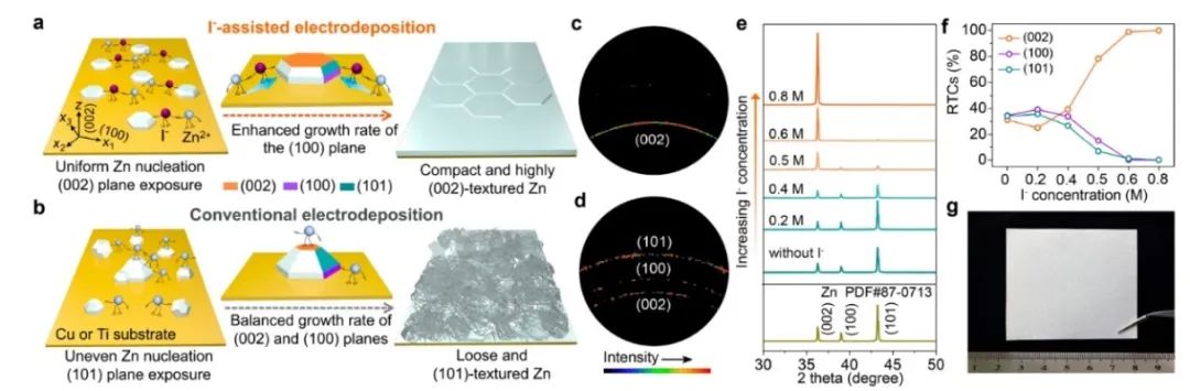 ​河北大学张宁ACS Nano：碘化物离子定向沉积锌金属负极用于稳定水系锌电池