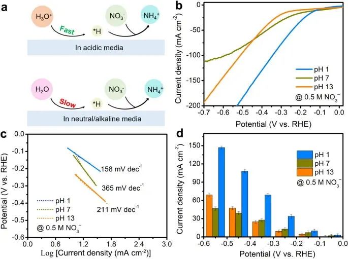 支春义教授，最新Nature子刊！