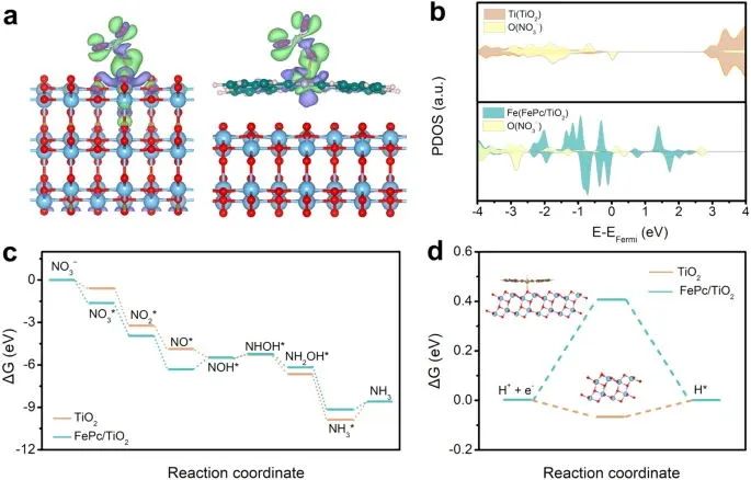 支春义教授，最新Nature子刊！