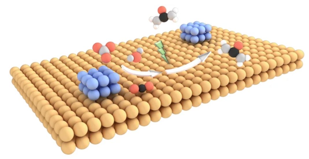 超燃！他，Nature Catalysis、Science Advances再次背靠背！