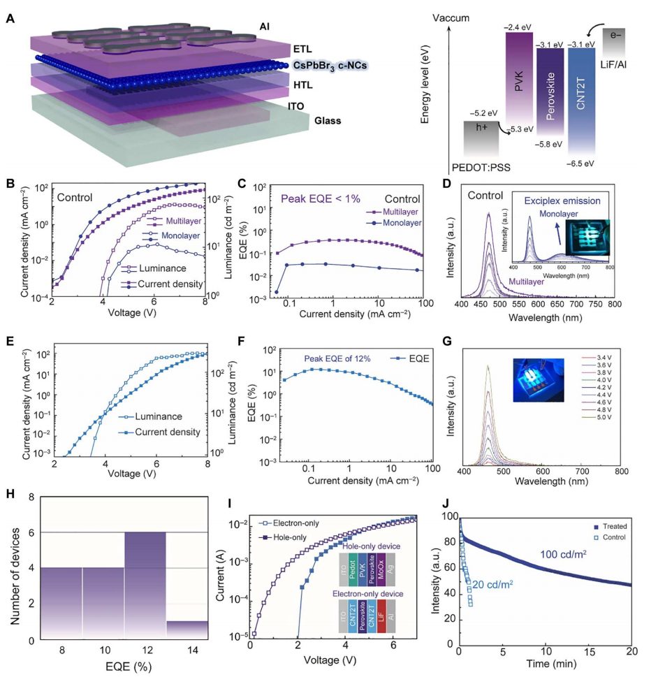 超燃！他，Nature Catalysis、Science Advances再次背靠背！