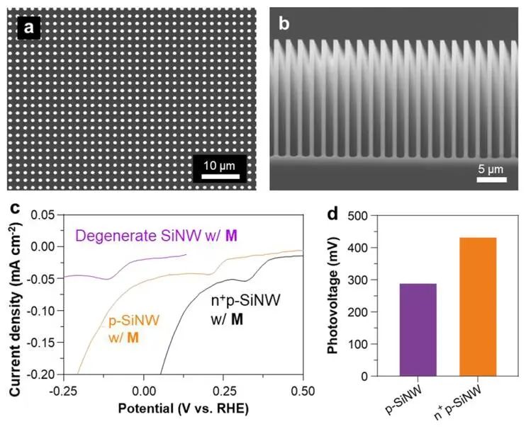 杨培东院士团队，最新JACS！