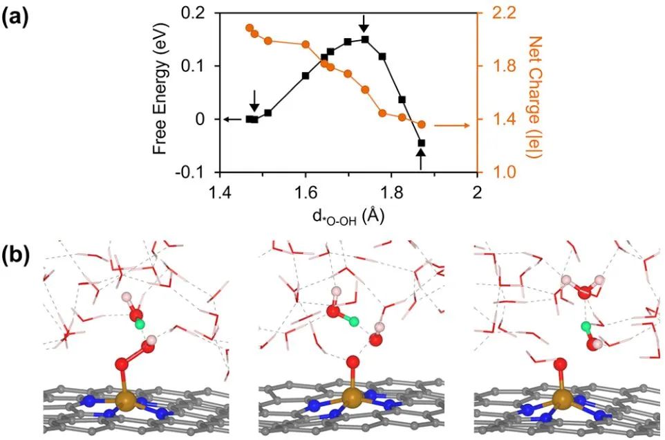 计算日报||顶刊集锦：JACS/Angew/AM/ACS Catal./Small等计算成果