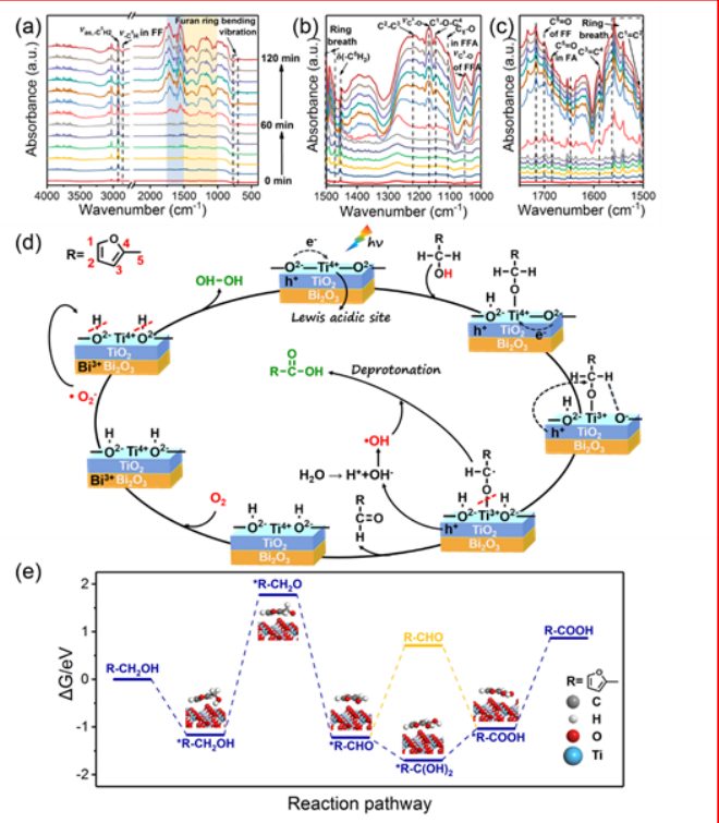 最新【计算+实验】案例解读：Nature子刊、JACS 、Angew、ACS Catalysis、ACS Nano等