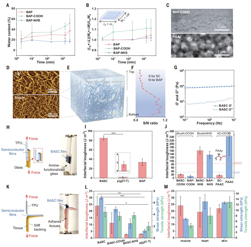 他，时隔三月，发完Nature Materials再发Science！