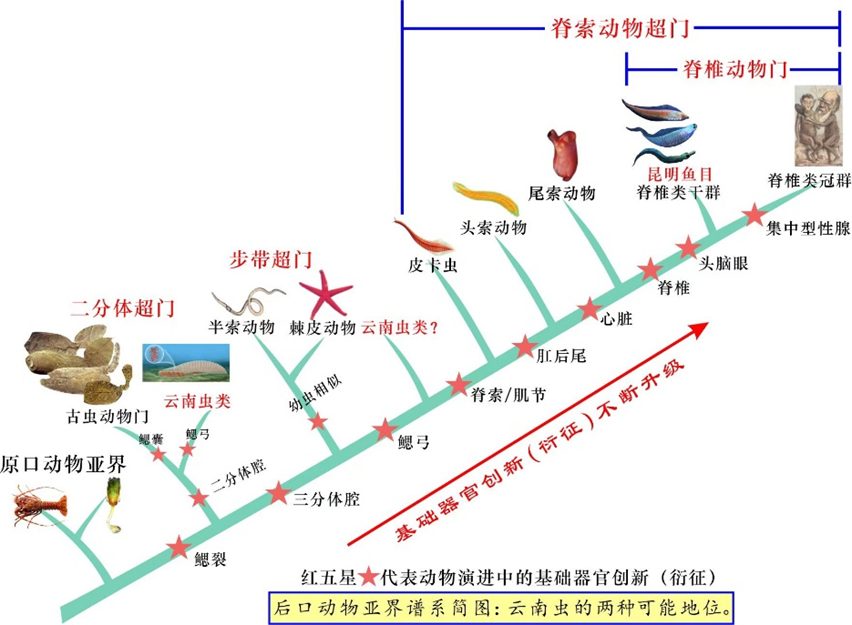 院士团队，发表第16篇Nature、Science！