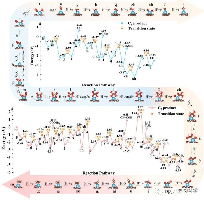 光照下，1个催化位点能活化几个CO2分子?