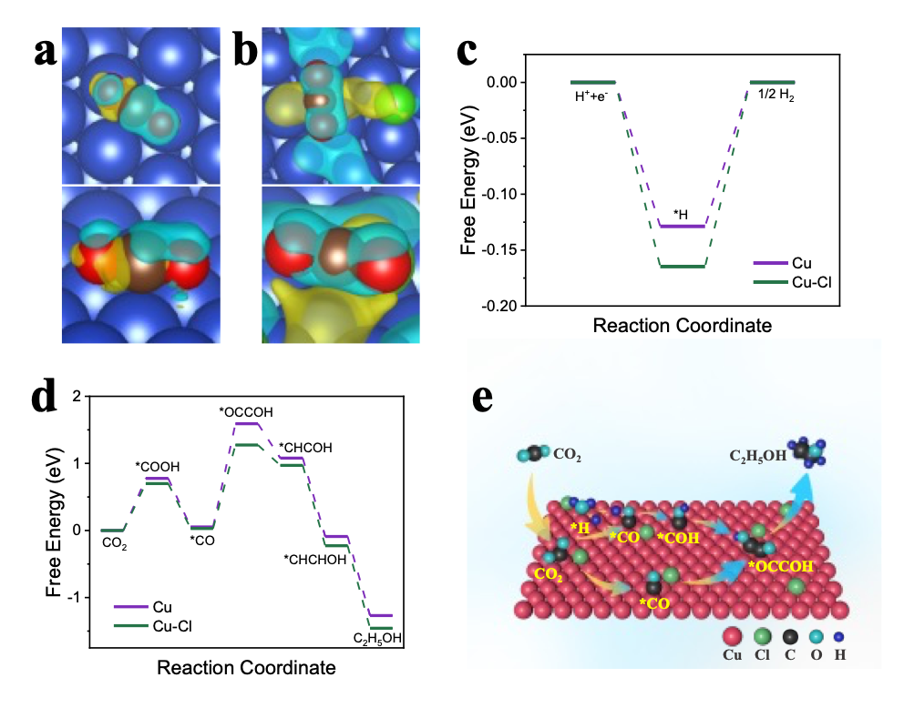 【DFT+实验】上海科技大学林柏霖课题组：卤素修饰的铜基催化剂促进高效电化学还原CO₂产乙醇